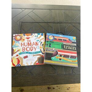 Usborne set of TWO Shine a light learning discover hidden picture books